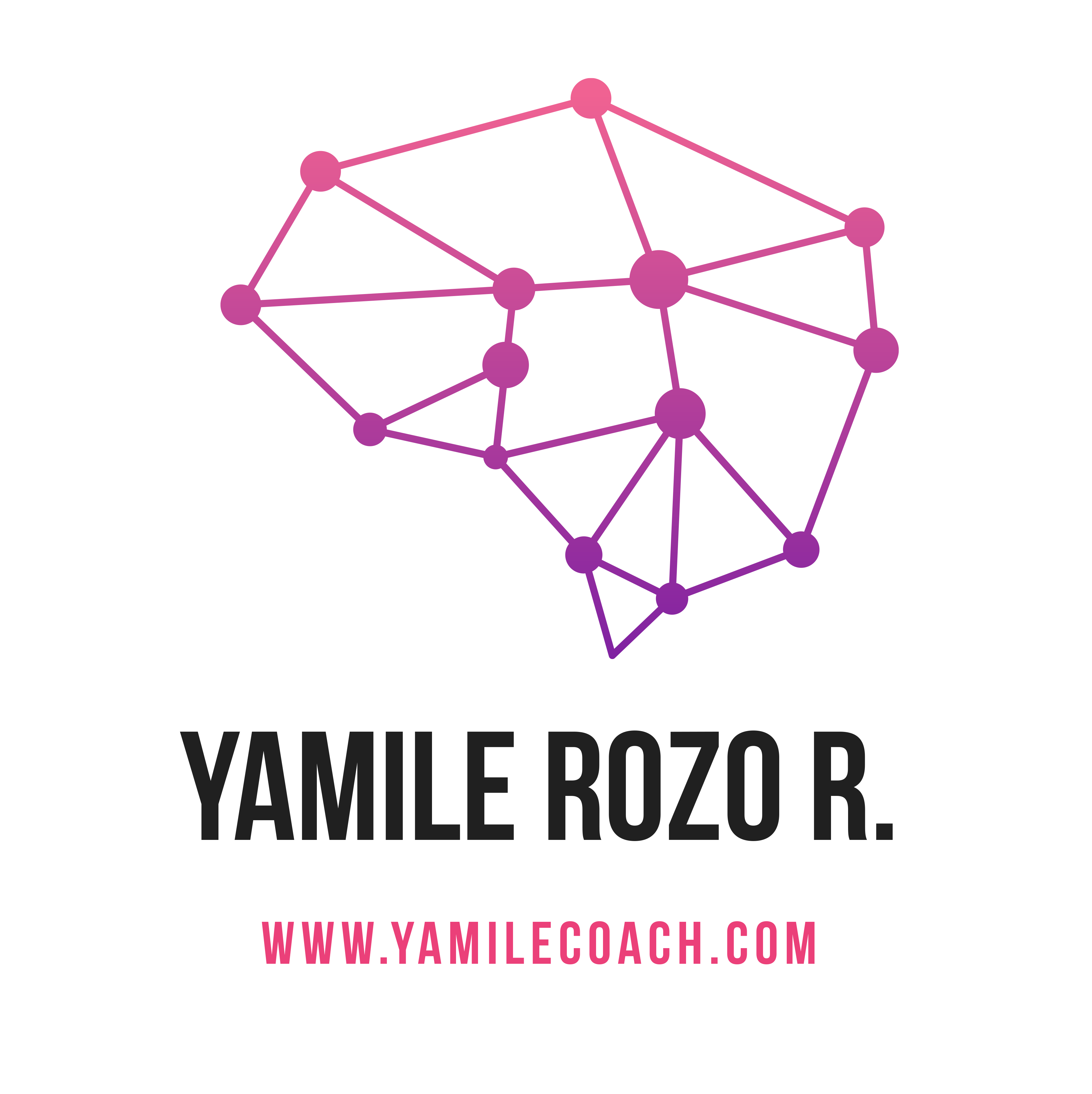 yamilecoach.com